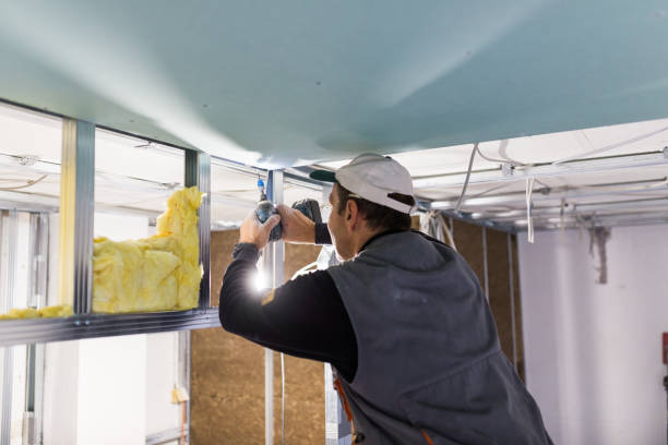 Best DIY Insulation Kits and Guidance in Rochester, PA