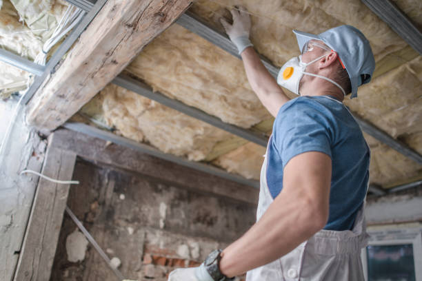 Types of Insulation We Offer in Rochester, PA
